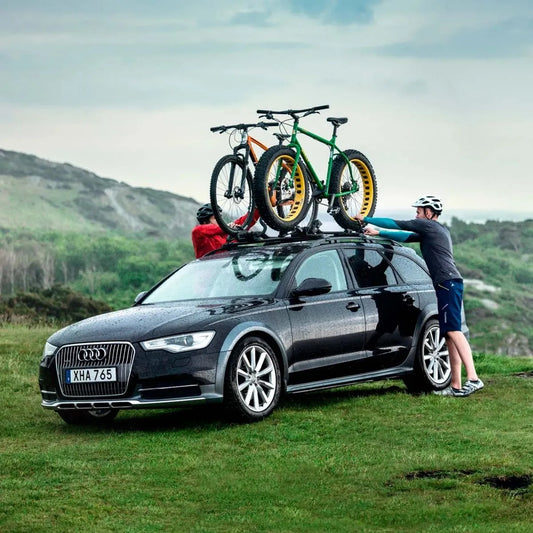 Thule portabicicletas ProRide techo